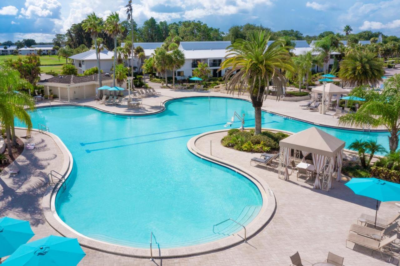 Saddlebrook Golf Resort & Spa Tampa North-Wesley Chapel Kültér fotó